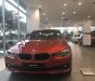 BMW 3 Series 320i  2018 - BMW 320i 2018 2.0L Sedan New 100% - Sunset Orange. Có xe giao ngay