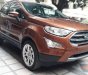 Ford EcoSport 2018 - Cần bán xe Ford EcoSport đời 2018, màu nâu, giá tốt 
