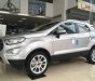 Ford EcoSport     2018 - Bán Ford EcoSport sản xuất năm 2018, màu bạc