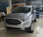 Ford EcoSport     2018 - Bán Ford EcoSport sản xuất năm 2018, màu bạc