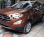 Ford EcoSport 2018 - Cần bán xe Ford EcoSport đời 2018, màu nâu, giá tốt 