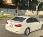 BMW 3 Series 320i 2017 - Bán ô tô BMW 3 Series 320i sản xuất 2017, màu trắng, nhập khẩu