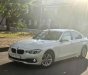 BMW 3 Series 320i 2017 - Bán ô tô BMW 3 Series 320i sản xuất 2017, màu trắng, nhập khẩu