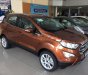 Ford EcoSport Titanium 1.5L AT 2018 - Bán Ford EcoSport Titanium 1.5L AT đời 2018, giá chỉ 625 triệu