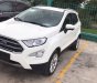 Ford EcoSport 2018 - Bán xe Ecosport giao ngay, giá thấp nhất thị trường, ưu đãi ngân hàng