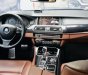 BMW 5 Series 528i 2010 - Chính chủ cần bán BMW 5 Series 528i sản xuất năm 2010, màu đen