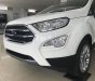 Ford EcoSport Titanium 1.5L AT 2018 - Bán Ford EcoSport Titanium 1.5 năm 2018, màu trắng tại Ninh Bình, LH 0989.022.295