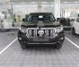 Toyota Prado 2018 - Bán Toyota Prado đời 2018, màu đen, nhập khẩu