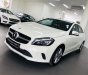 Mercedes-Benz A class A200 2017 - Bán xe Mercedes đã qua sử dụng chính hãng A200 nhập khẩu, odo 37km, chỉ đóng thuế 2%