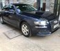 Audi A4 2.0 V 2010 - Cần bán xe Audi A4 2.0 V đời 2010, màu xanh lam, nhập khẩu  