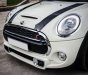 Mini Cooper 2015 - Cần bán xe Mini Cooper đời 2015, màu trắng, xe nhập 