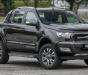 Ford Ranger 2018 - Bán Ford Ranger Wildtrak 2018, một phiên bản cao cấp với đầy đủ tiện nghi. Hotline: 0901.979.357 - Hoàng