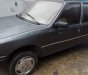 Peugeot 205   1990 - Bán Peugeot 205 đời 1990, màu xám, nhập khẩu còn mới