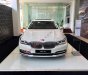 BMW 7 Series 730Li 2018 - Bán BMW 7 Series 730Li năm sản xuất 2018, màu trắng, nhập khẩu