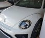 Volkswagen Beetle 2018 - Cần bán Volkswagen Beetle 2018, màu trắng, xe Đức nhập khẩu nguyên chiếc