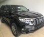 Toyota Prado VX 2018 - Bán Toyota Land Cruise Prado VX đời 2019, màu đen, xe và giấy tờ giao ngay, đăng ký trong ngày. LH: 0906223838