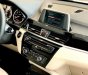 BMW X1   2018 - Bán BMW X1 2018, màu trắng, nhập khẩu nguyên chiếc