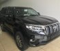 Toyota Prado VX 2018 - Bán Toyota Land Cruise Prado VX đời 2019, màu đen, xe và giấy tờ giao ngay, đăng ký trong ngày. LH: 0906223838