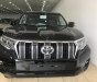 Toyota Prado VX 2018 - Bán Toyota Land Cruise Prado VX đời 2019, màu đen, xe và giấy tờ giao ngay, đăng ký trong ngày. LH: 0906223838