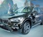 BMW X1 sDrive18i 2018 - Bán xe BMW X1 sDrive18i năm 2018, màu nâu, nhập khẩu