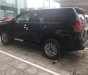 Toyota Prado 2018 - Toyota Giải Phóng- Bán xe Toyota Prado 2018, nhập khẩu nguyên chiếc, màu đen, hỗ trợ trả góp, LH 0973.160.519