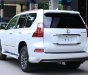 Lexus GX 460 2018 - Bán xe GX460 2018