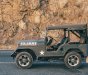 Jeep CJ 1975 - Cần bán Jeep CJ năm sản xuất 1975, màu xám (ghi), nhập khẩu, giá tốt