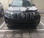 Toyota Prado 2018 - Toyota Giải Phóng- Bán xe Toyota Prado 2018, nhập khẩu nguyên chiếc, màu đen, hỗ trợ trả góp, LH 0973.160.519