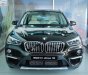 BMW X1 sDrive18i 2018 - Bán xe BMW X1 sDrive18i năm 2018, màu nâu, nhập khẩu