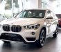 BMW X1  sDrive 2018 - BMW X1 nhập khẩu từ Đức, xe giao ngay, giá tốt nhất TP. HCM