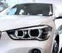 BMW X1  sDrive 2018 - BMW X1 nhập khẩu từ Đức, xe giao ngay, giá tốt nhất TP. HCM