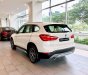 BMW X1  sDrive 2018 - BMW X1 nhập khẩu từ Đức, xe giao ngay, giá tốt nhất TP. HCM