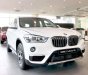 BMW X1  sDrive 2018 - BMW X1 nhập khẩu từ Đức, xe giao ngay, giá tốt nhất TP. HCM