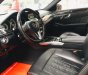 Mercedes-Benz E class e250 2013 - Bán Mercedes E250 2013, màu nâu, nội thất đen
