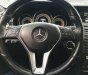 Mercedes-Benz E class e250 2013 - Bán Mercedes E250 2013, màu nâu, nội thất đen