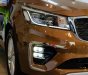 Kia Sedona Platium G 2018 - Bán xe Kia Sedona Platium G sản xuất năm 2018, màu nâu