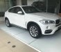 BMW X6 2017 - Bán xe BMW X6 năm 2017, màu trắng, xe nhập