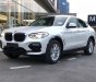 BMW X4 xDrive20i 2018 - Bán xe BMW X4 xDrive20i sản xuất 2018, màu trắng, nhập khẩu nguyên chiếc