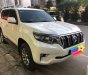 Toyota Prado VX   2018 - Cần bán Toyota Prado VX sản xuất 2018, màu trắng nhập nhập khẩu