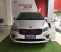 Kia Sedona  Platinum D  2018 - Cần bán xe Kia Sedona Platinum D năm 2018, mới 100%