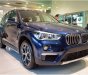 BMW X1 xLine 2018 - Bán BMW X1 tại Đà Nẵng - Xe nhập khẩu nguyên chiếc