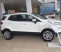 Ford EcoSport Titanium 1.0 2018 - Bán EcoSport 2018, giảm tiền mặt + dán phim, BHVC, lót sàn, bệ bước, trả trước 10%. LH 0989022295 tại Bắc Kạn