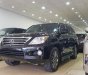 Lexus LX 570 2009 - Bán Lexus Lx570 sản xuất 2009, đăng ký lần đầu năm 2010 tên cá nhân