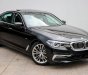 BMW 5 Series 530i Luxury 2018 - BMW 530i Luxury 2018, giao xe tháng 1/2019, chính hãng giá tốt