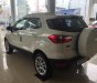 Ford EcoSport Titanium 1.0 2018 - Bán Ford Ecosport 1.0L AT 2018 tại Cao Bằng, khuyến mãi lớn, đủ màu, hỗ trợ vay 80%. L/h: 0989022295