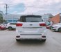 Kia Sedona Platinum D 2019 - Bán xe du lịch Kia Sedona Platinum D 2019 mới 100%