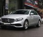 Mercedes-Benz E class 2016 - Bán Mercedes Benz E250 model 2016, màu trắng