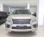 Lexus LX 2009 - Bán Lexus LX đời 2009, nhập khẩu nguyên chiếc