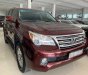 Lexus GX 2009 - Bán ô tô Lexus GX 2009, nhập khẩu nguyên chiếc