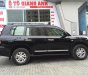 Toyota Land Cruiser VX  2010 - Bán Toyoya Landcruiser VX 2010